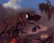 Ruby Topaz Hummingbirds - 马丁·约翰逊·赫德